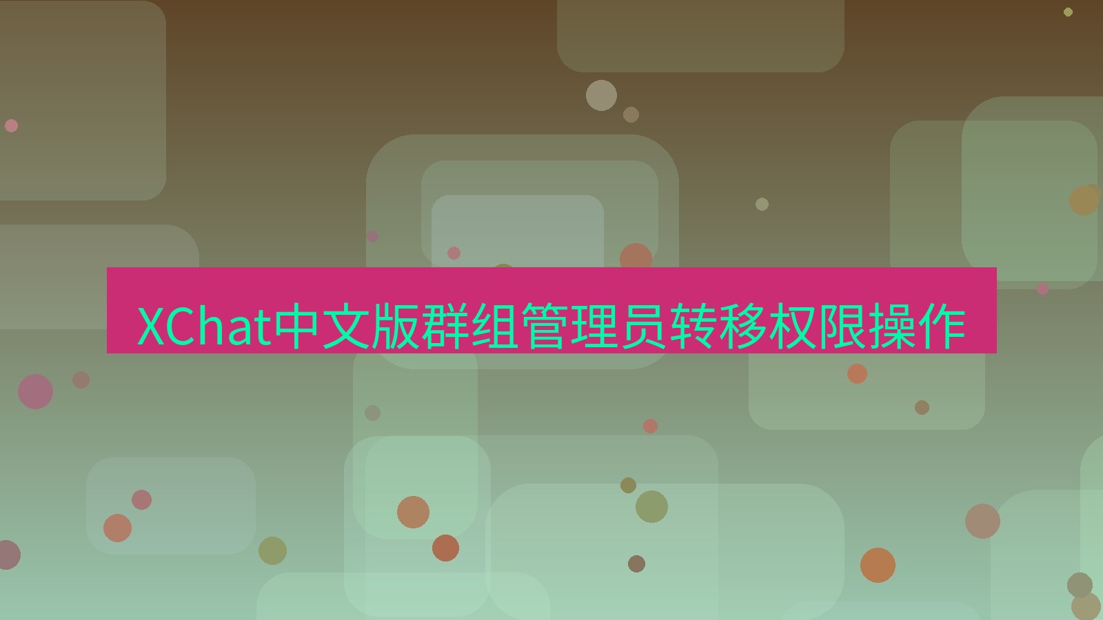 xchat在线 XChat中文版群组管理员转移权限操作